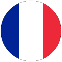 french flag 500.200x200